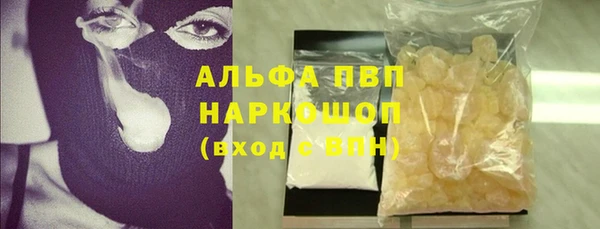 ПСИЛОЦИБИНОВЫЕ ГРИБЫ Каменногорск