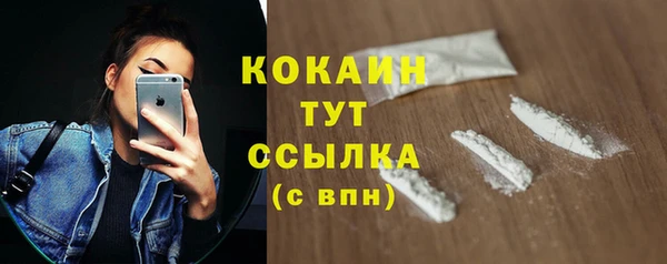 твердый Каменка
