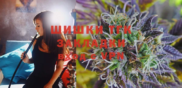 твердый Каменка