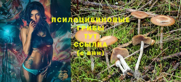 ПСИЛОЦИБИНОВЫЕ ГРИБЫ Каменногорск