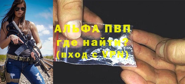 ПСИЛОЦИБИНОВЫЕ ГРИБЫ Каменногорск
